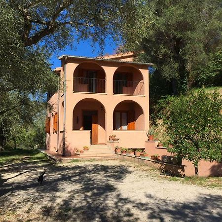 Argentella House Villa Palombara Sabina Exteriör bild